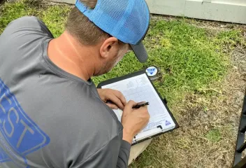 termite control
