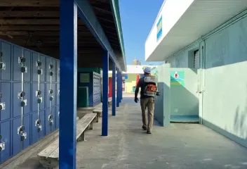 mosquito control