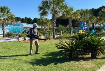 mosquito control